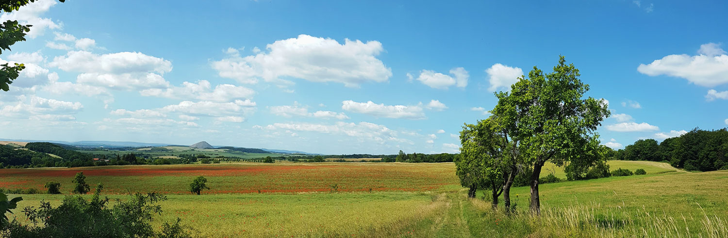 Landschaftsbild aus dem Biosphärenreservat Karstlandschaft Südharz