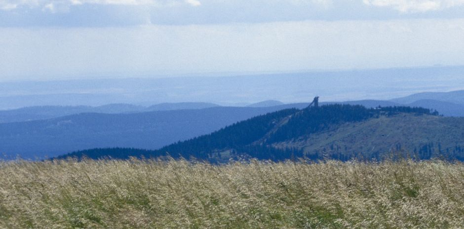 Harz-Landschaft mit Wiese und Bergen