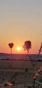 Sonnenaufgang Rastplatz Regensteinblick