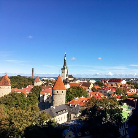 Stadt in Estland