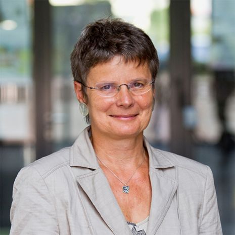 Prof. Dr. Birgit Apfelbaum
