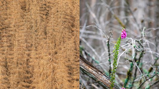 "UNTERGANG UND AUFERSTEHUNG", Ausschnitte der Dokumentation von Christian Hille und Lars Wiedemann