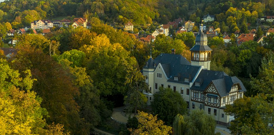 HS Harz Villa