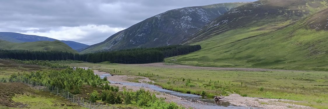 Schottische Landschaft mit Hügeln, Bachlauf und neu entstehenden Wäldern.