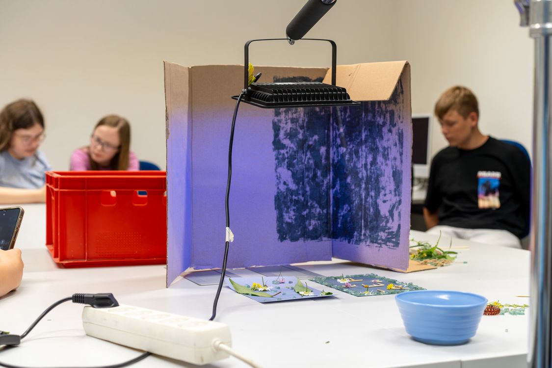 Tisch mit UV-Lampe zur Entwicklung von Cyanotypien.