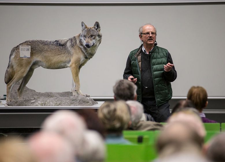 Bild: Frank Raimer, ehemaliger Nationalpark-Förster, begab sich bei der Auftakt-Vorlesung der GenerationenHochschule im vollbesetzten AudiMax auf die Spuren des Wolfs. Foto: Hochschule Harz