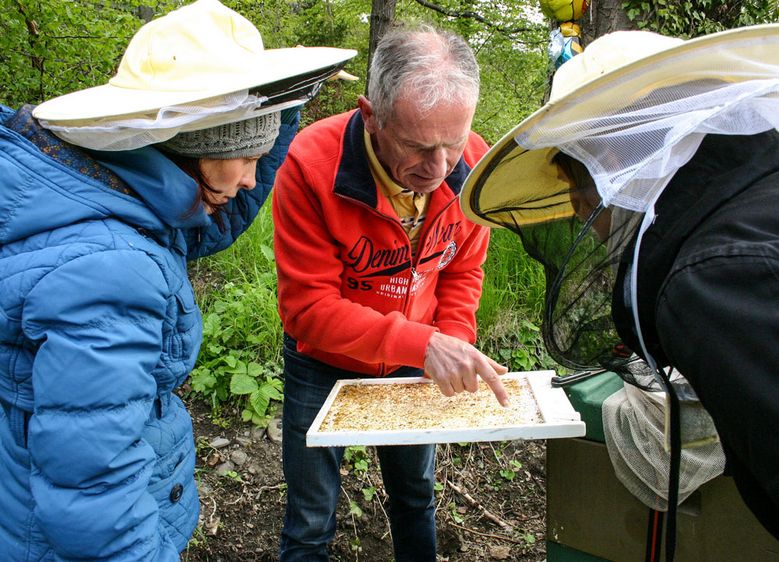 Bilder: Imker Enrico Kretschmar erklärt die Geheimnisse der Bienen gern allen Interessierten; die Bienenstöcke an der Hochschule Harz sind hinter der „Papierfabrik“ (Haus 9) bei einem großen Blühstreifen zu finden. Fotos: Hochschule Harz 