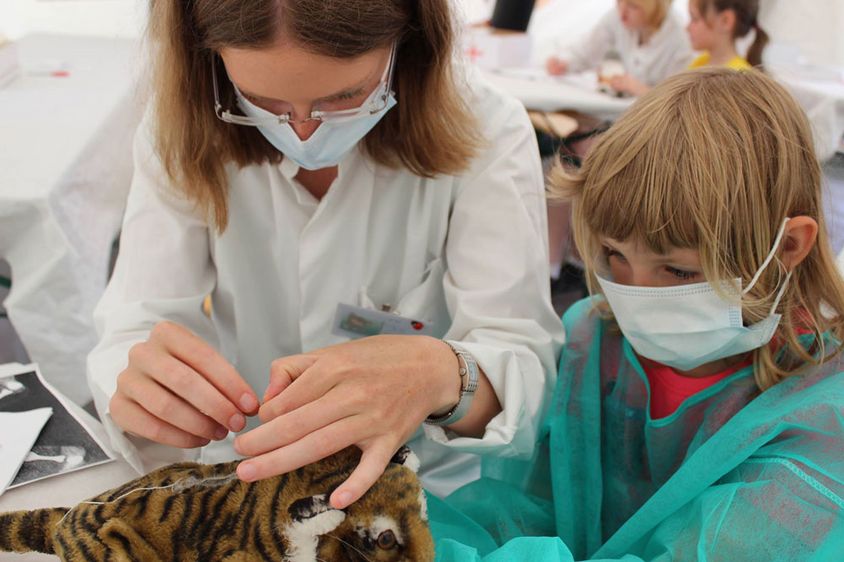 Bild: Sprechstunde in der Teddyklinik: Die Medizinstudierenden der Otto-von-Guericke-Universität Magdeburg verarzten am 22. April erstmals auch im Harz erkrankte Puppen und Kuscheltiere.