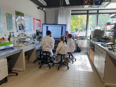 Im Labor für Umwelttechnik der Hochschule Harz.