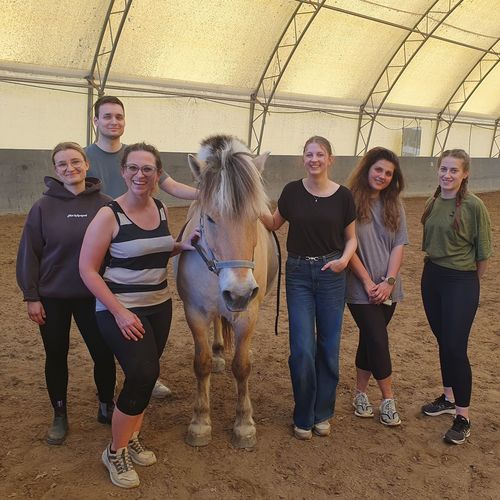MBA-Studierende beim Führungstraining auf dem Pferdehof.