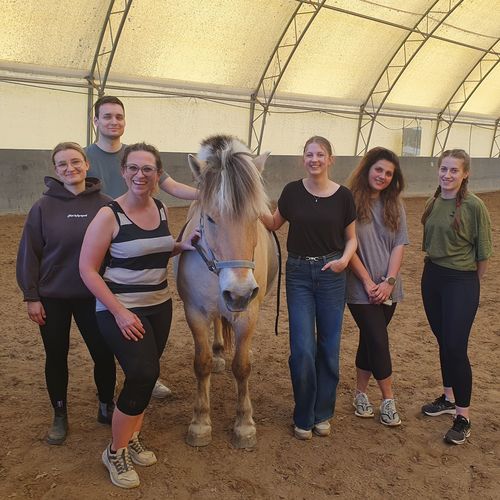 MBA-Studierende beim Führungstraining auf dem Pferdehof.