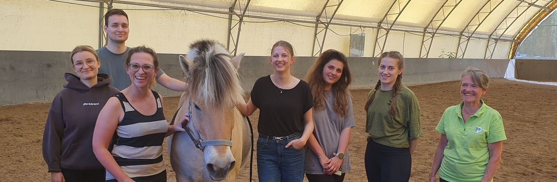 MBA-Studierende beim Führungstraining auf dem Pferdehof.
