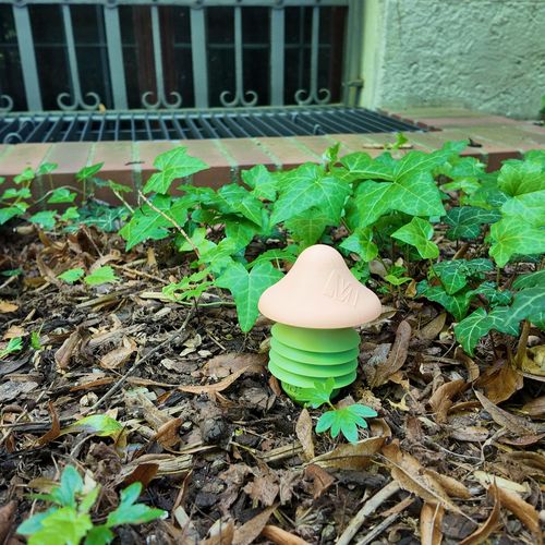 Pilz-Sensor in Rindenmulch 