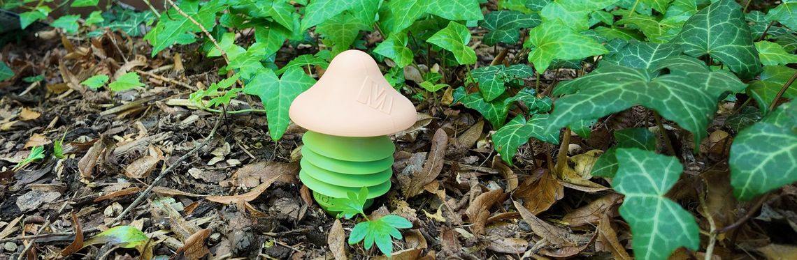 Pilz-Sensor in Rindenmulch 
