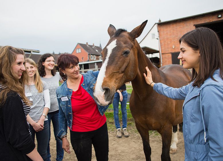 Bild: Prof. Dr. Ulrike Starker und ihre Studierenden planten und realisierten ein Pferdegestütztes Führungskräftetraining auf dem Fels-Hof Lengde in Goslar. Foto: Tim Bruns