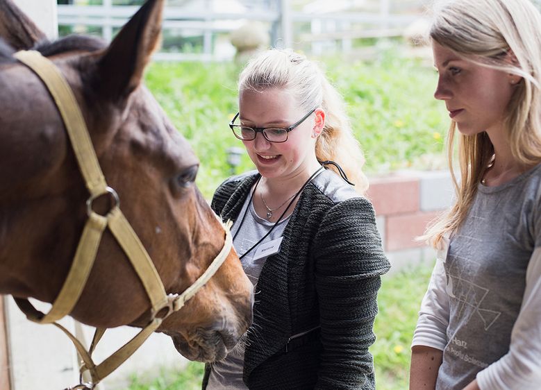 Studierende der Wirtschaftspsychologie an der Hochschule Harz bieten jetzt ein Training an, mit dem Interessierte ihr eigenes Führungsverhalten im Kontakt mit Pferden reflektieren und verbessern können. Foto: Hochschule Harz
