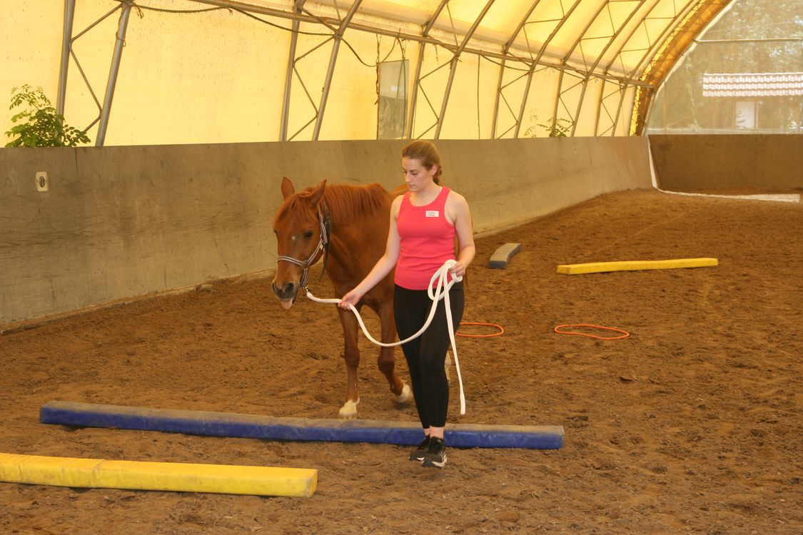 Studentin Tabea in ihrem Parcours beim Führungstraining.