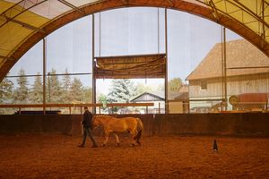 Das Training auf dem Reiterhof ist eines von drei Outdoor-Seminaren, das im berufsbegleitenden MBA angeboten wird