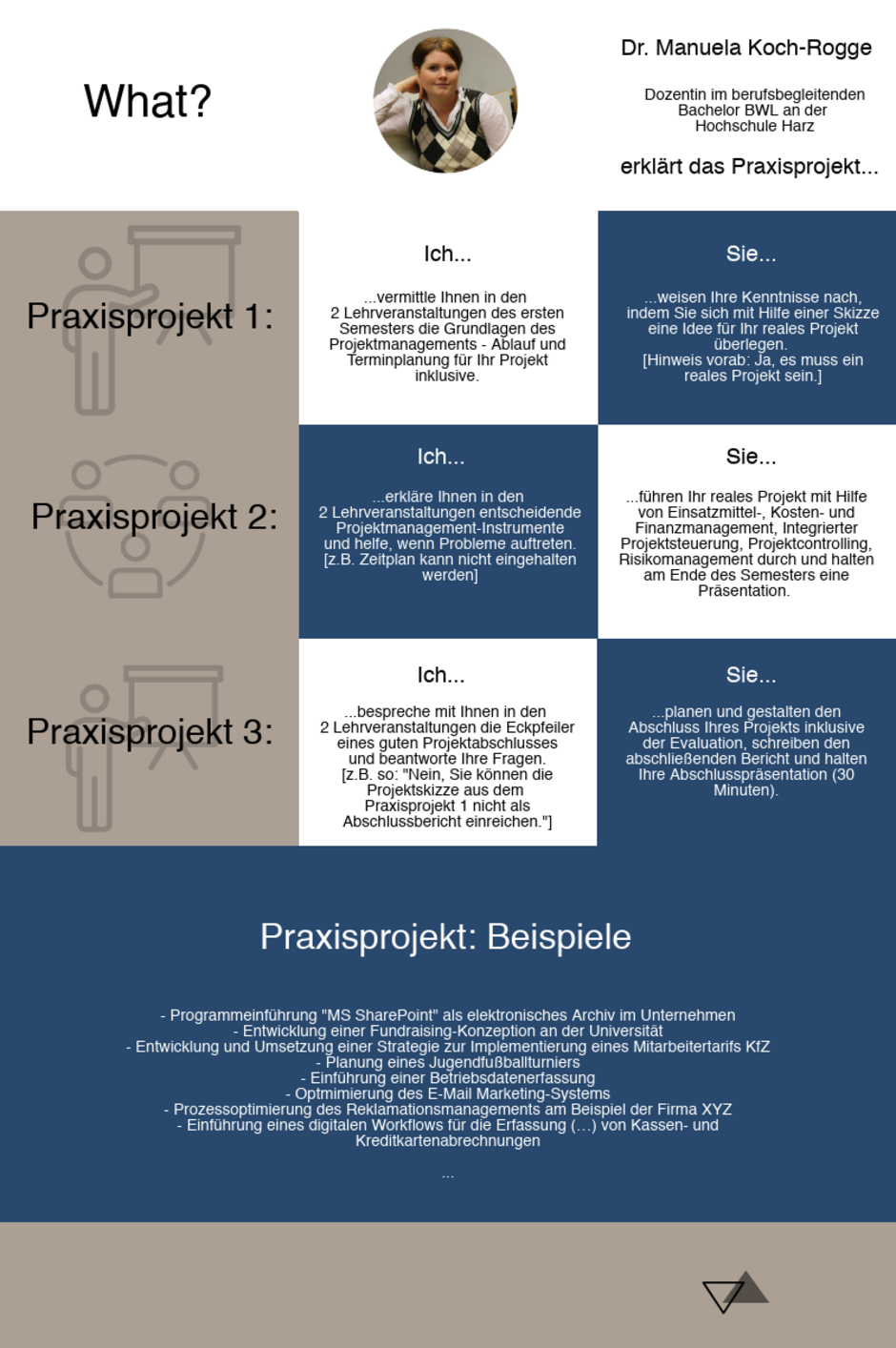 Hochschule Harz berufsbegleitend BAchelor BWL Praxisprojekt Infografik Dozentin Manuela Koch-Rogge