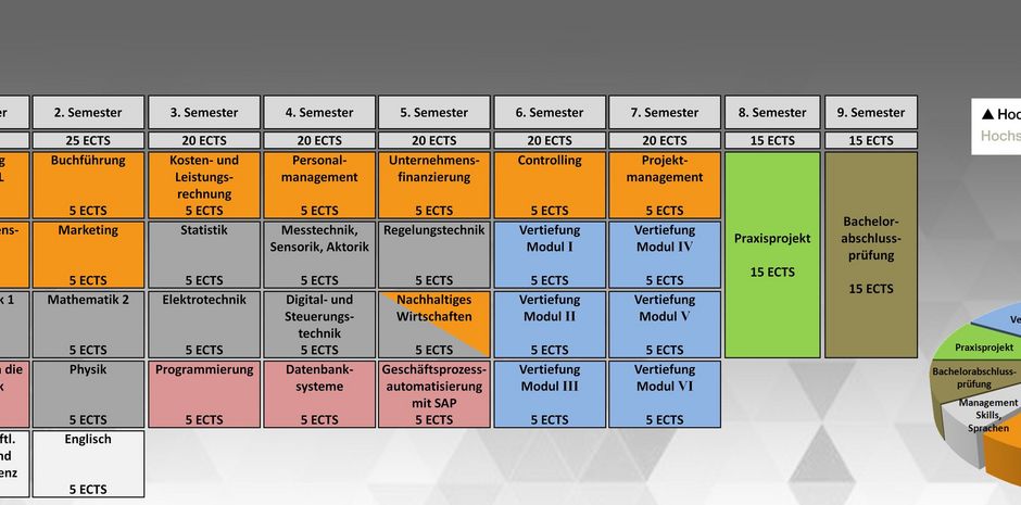 Wirtschaftsingenieur, Curriculum, Studienplan